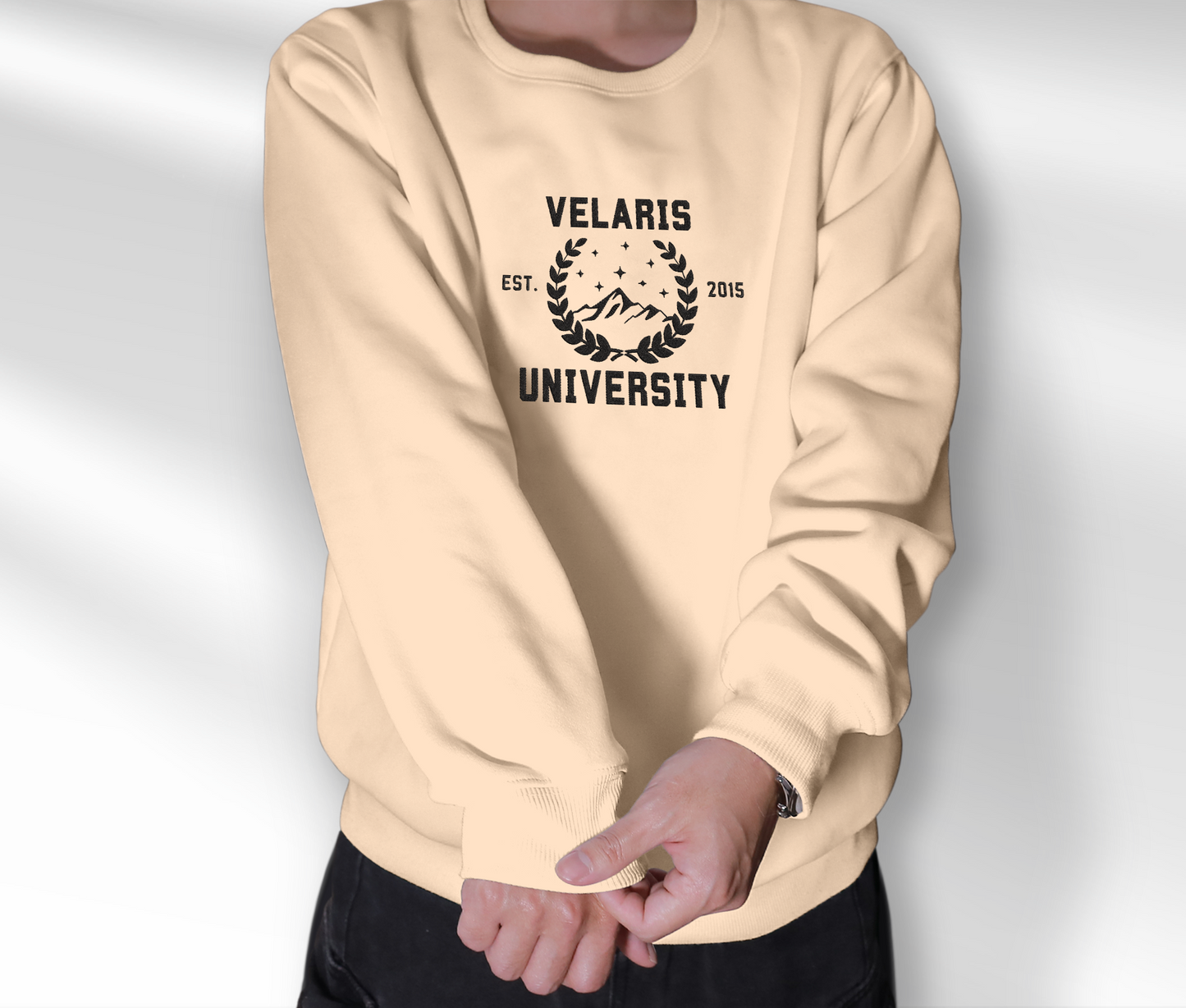 Velaris University Embroidered Sweatshirt, Acotar Velaris Embroidered Shirt, Fourth Wing Shirt, Basgiath War College, Acotar Shirt, Sarah J Maas, Gift For Book Lover