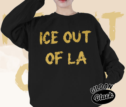 Ice Out Of La Shirt, DACA Shirt, Social Justice Shirt, Romantasy Readers Shirt, Bookish Bookworm Book Nerd Shirt, Gift for Her, Gift for Readers for Book Lovers
