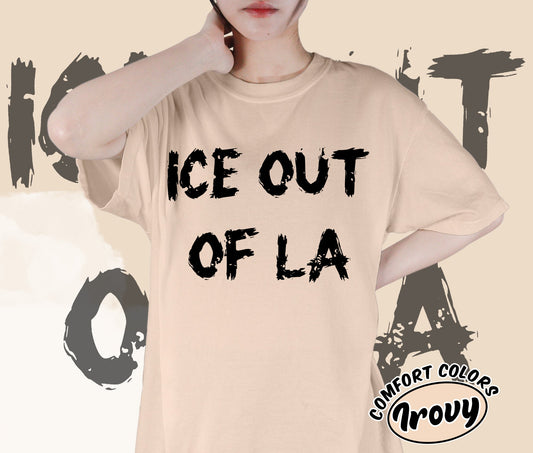 Ice Out Of La Shirt, DACA Shirt, Social Justice Shirt, Romantasy Readers Shirt, Bookish Bookworm Book Nerd Shirt, Gift for Her, Gift for Readers for Book Lovers