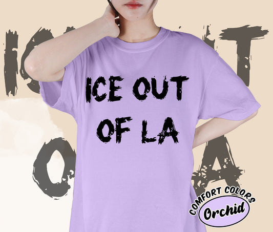 Ice Out Of La Shirt, DACA Shirt, Social Justice Shirt, Romantasy Readers Shirt, Bookish Bookworm Book Nerd Shirt, Gift for Her, Gift for Readers for Book Lovers