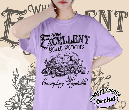 Excellent Boiled Potatoes Pride and Prejudice Shirt Jane Austen Shirt Pemberley Shirt Funny Mr Collins Mr Darcy Shirt, Romantasy Readers Shirt, Bookish Bookworm Book Nerd Shirt, Gift for Her, Gift for Readers for Book Lovers