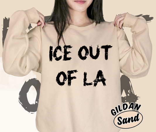 Ice Out Of La Shirt, DACA Shirt, Social Justice Shirt, Romantasy Readers Shirt, Bookish Bookworm Book Nerd Shirt, Gift for Her, Gift for Readers for Book Lovers